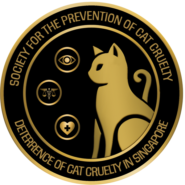 SPCC Singapore