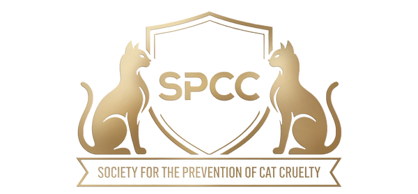 SPCC Singapore